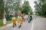 IMG_7537.jpg