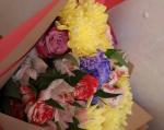 IMG_0089.jpeg